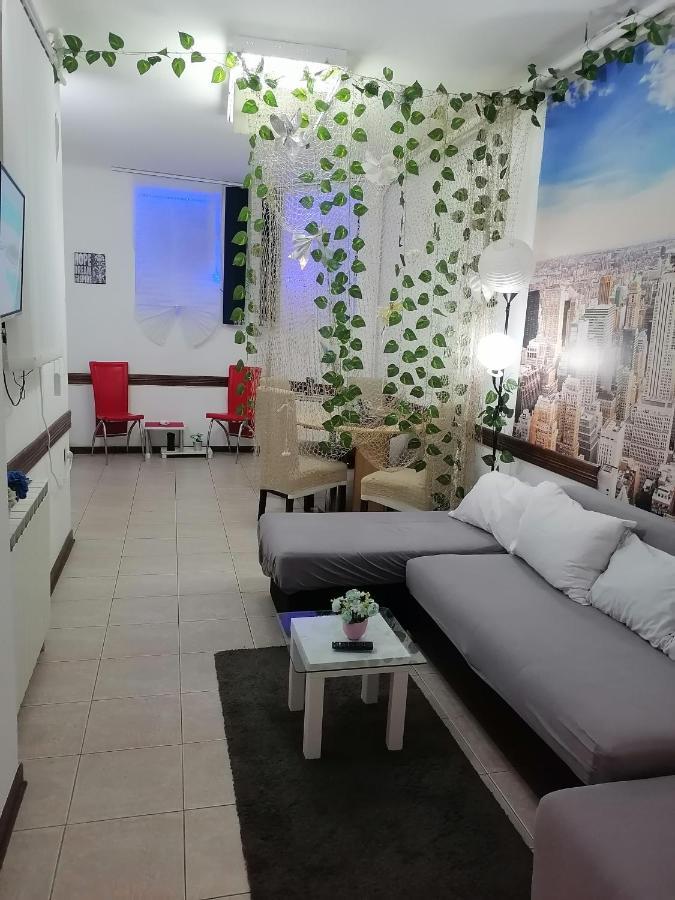 Low Cost Apartment Belgrade Exterior photo