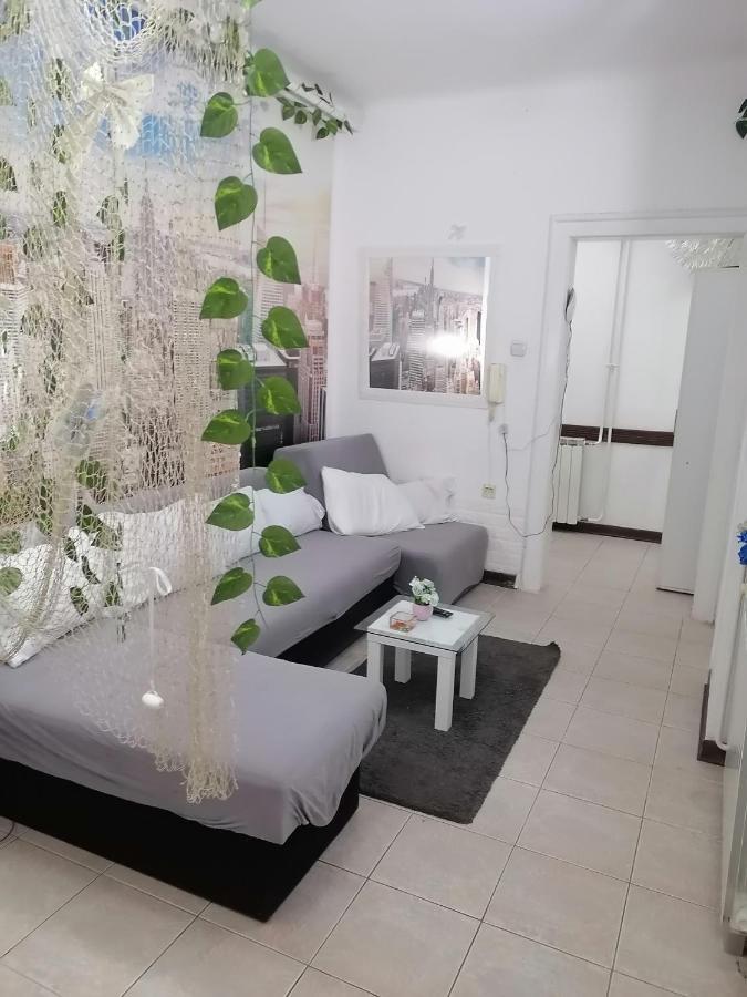 Low Cost Apartment Belgrade Exterior photo